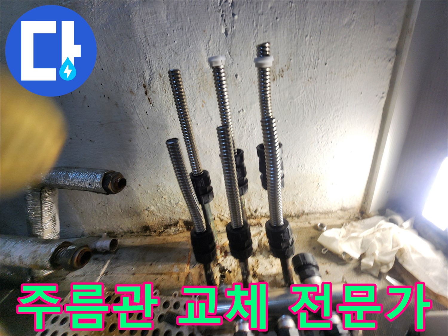 양천구 신월동 누수 전문가 주름관 교체 시공 사진