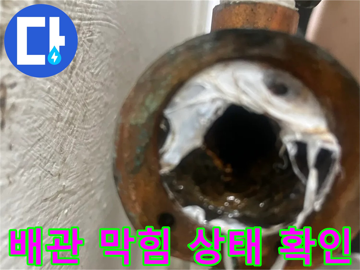양천구 신월동 누수 원인 - 막힌 배관 확인