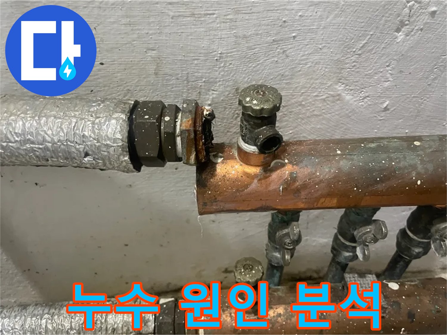 양천구 신월동 누수 탐지 - 정확한 원인 분석