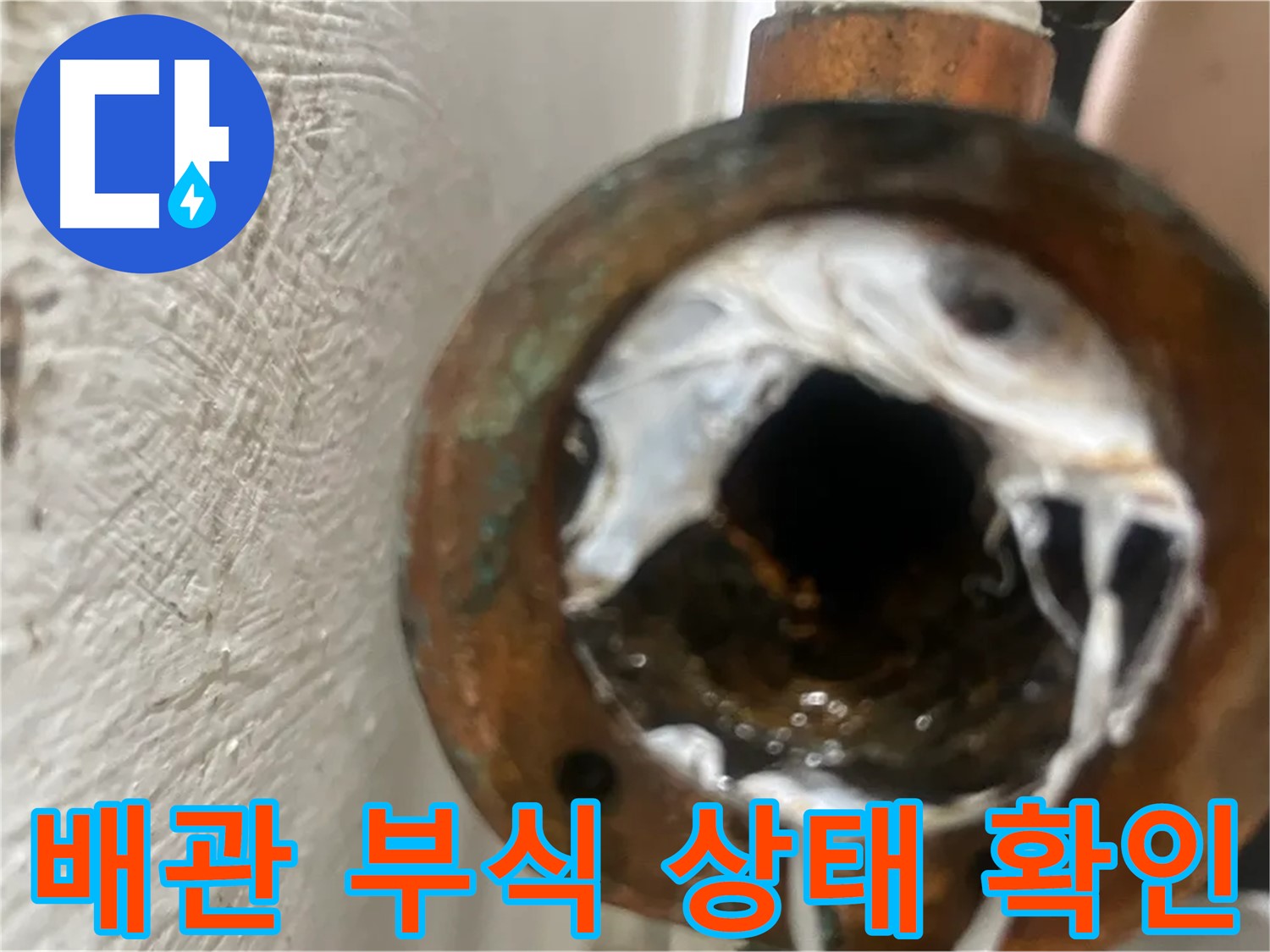 양천구 신월동 누수 문제 - 부식된 배관 확인