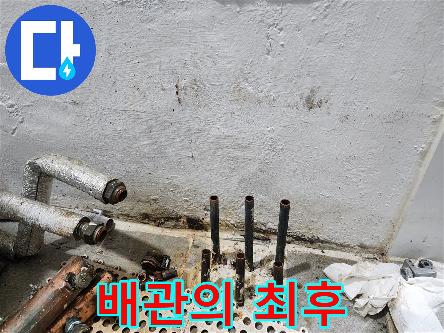 양천구 신월동 한일주택 - 낡은 배관의 누수