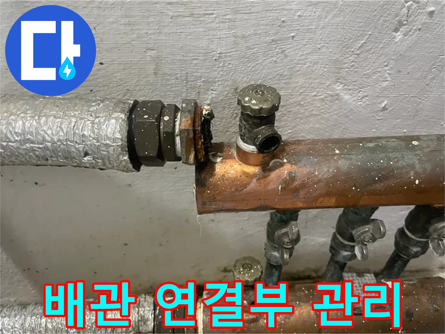 양천구 신월동 한일주택 누수 - 노후 배관 연결부 집중 관리