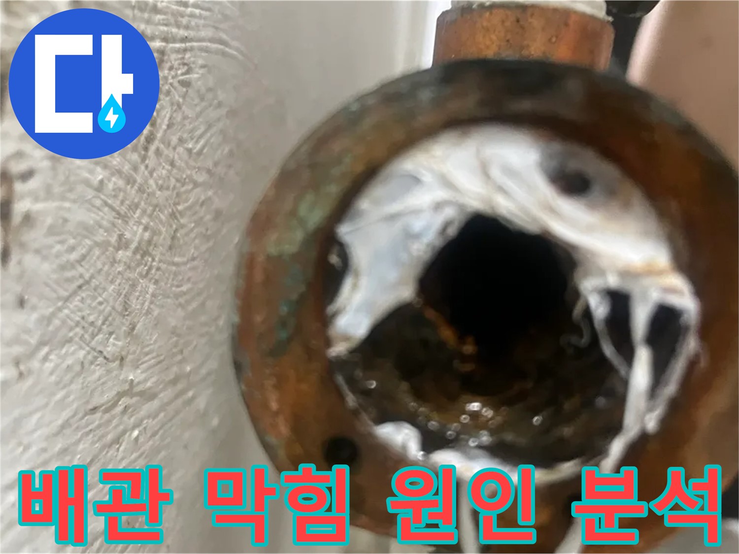 신월동 누수 해결 - 배관 막힘 원인 꼼꼼 분석