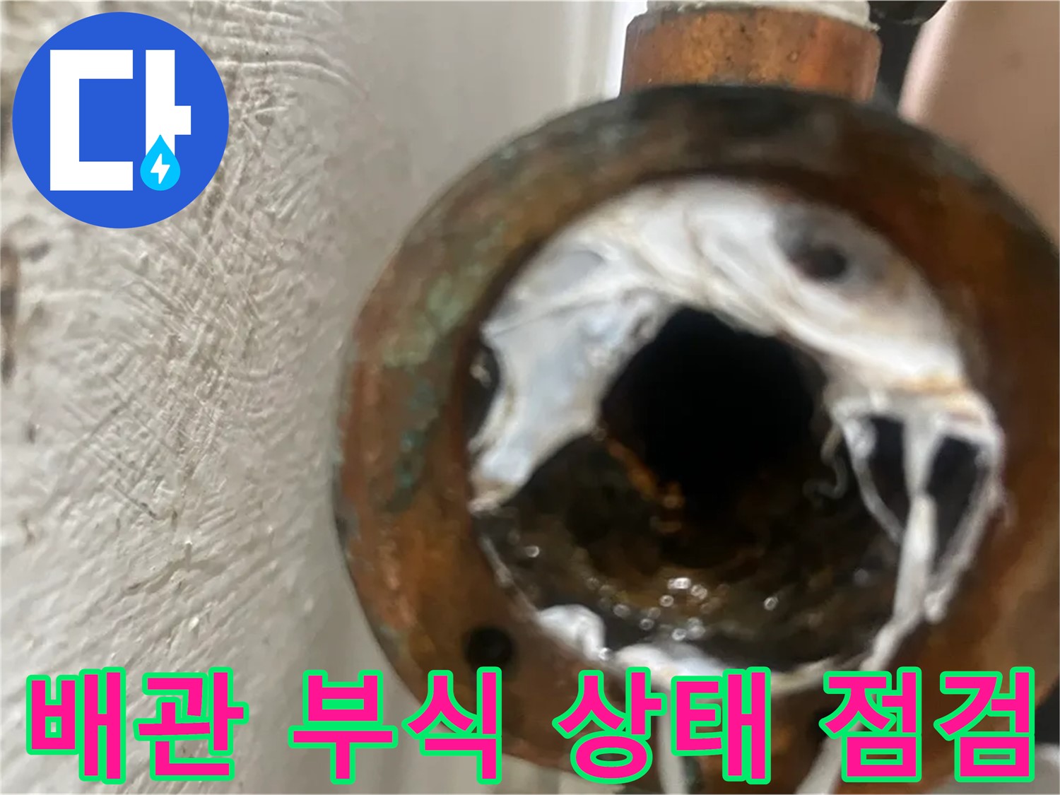 신월동 누수 해결 - 배관 부식 상태 꼼꼼 점검