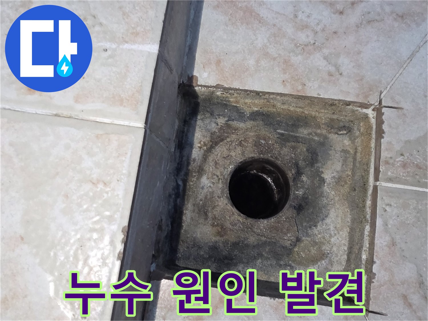 안양 초원맨션 욕실 하수구 누수 원인 분석 - 방수층 문제 확인