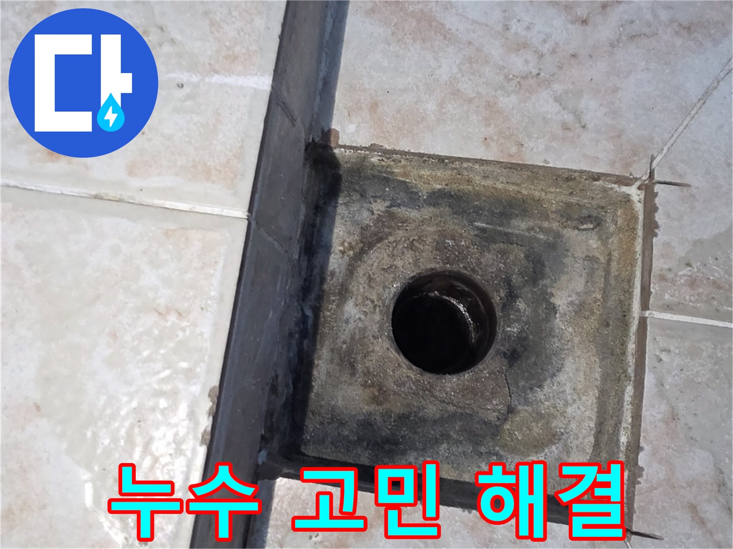 안양 초원맨션 욕실 하수구 누수 해결 완료 - 쾌적한 욕실 환경 복원