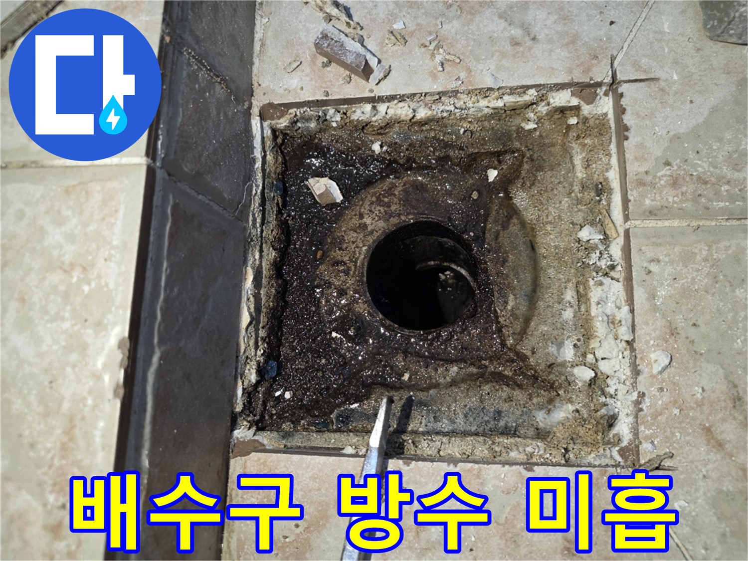 배수구 주변 방수 미흡 점검 - 누수 원인 진단