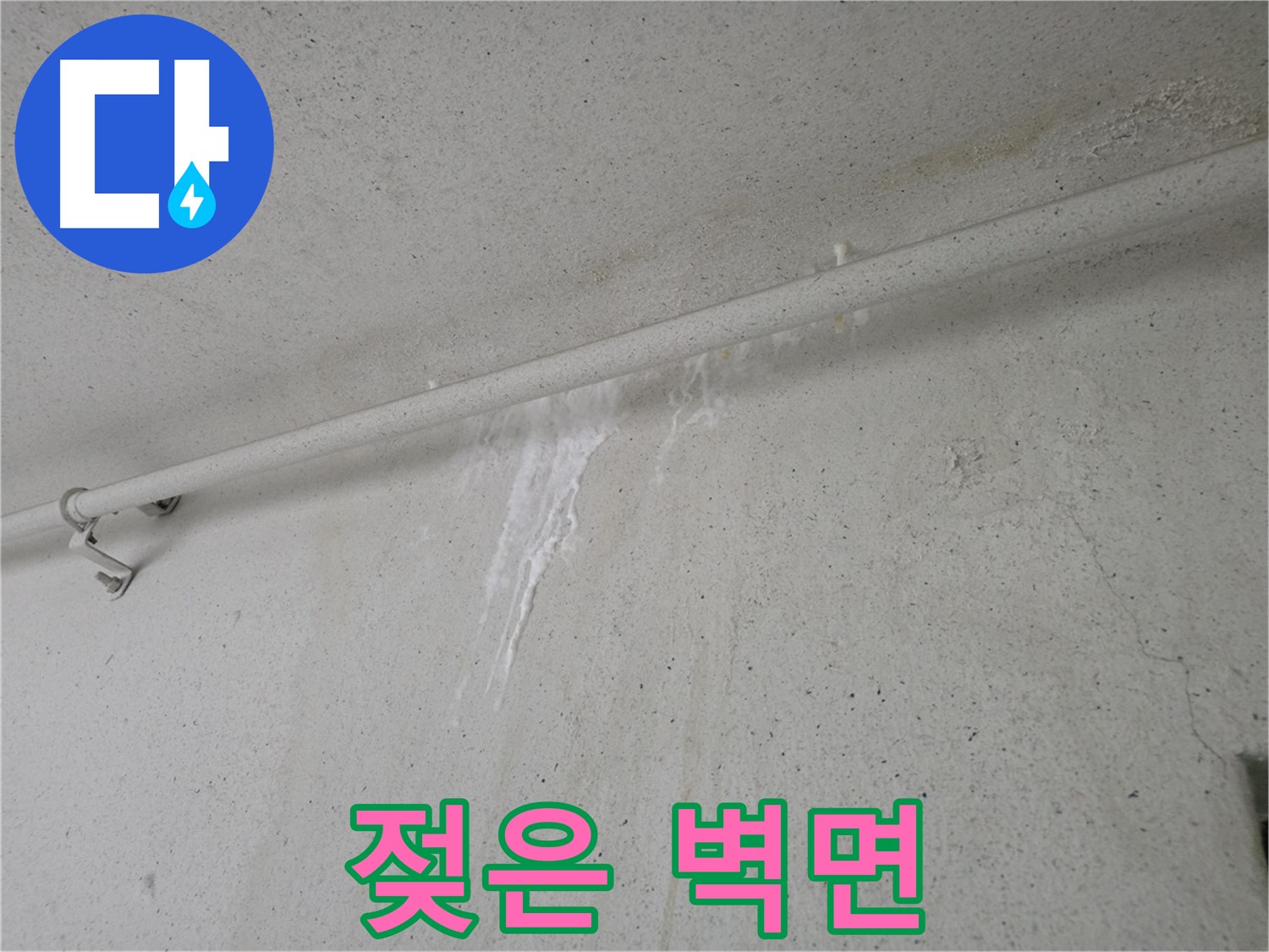 젖은 벽과 곰팡이 위험 - 안양 누수 방지 필요