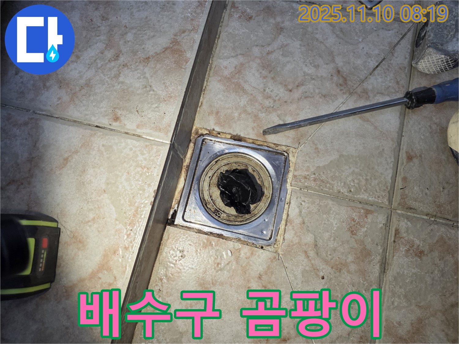 욕실 배수구 - 곰팡이 발생