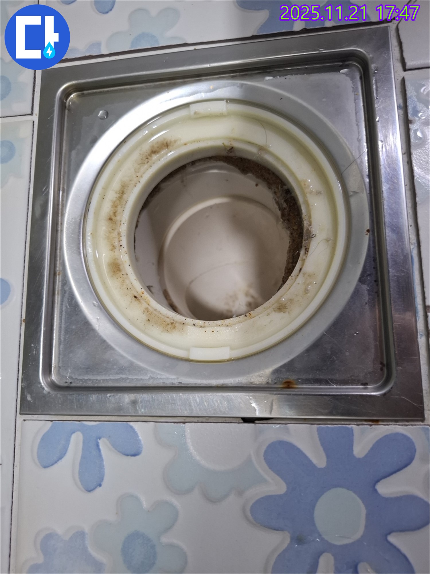 신림동 누수 - 배수구 속 곰팡이 제거를 통한 누수 해결
