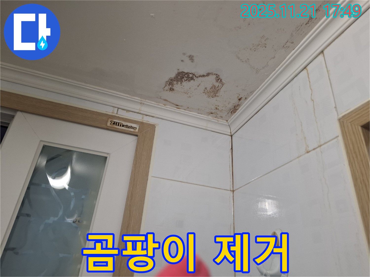 곰팡이 제거 - 누수 해결과 함께 곰팡이 문제도 해결하세요.