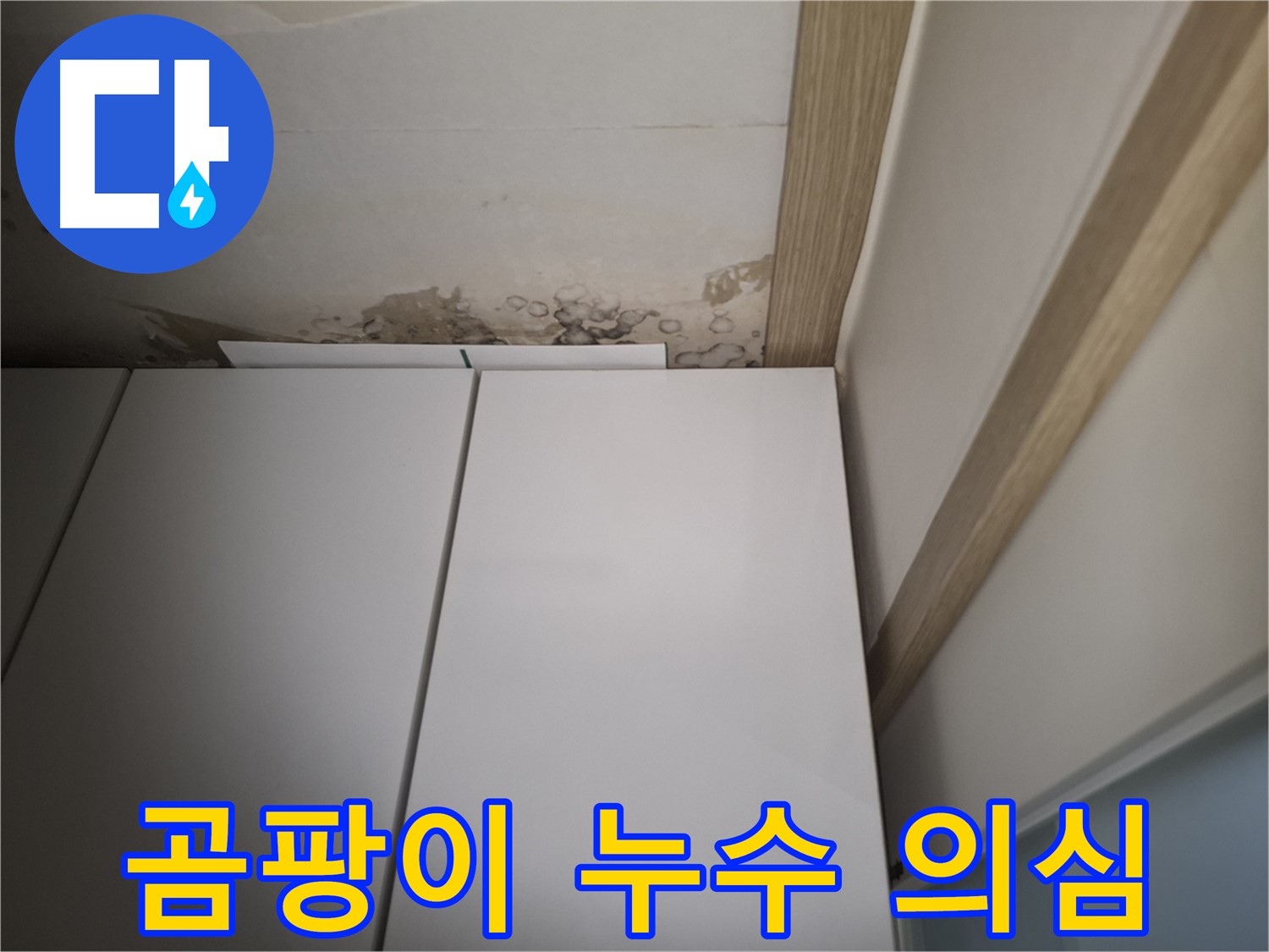 붙박이장 위 천장에 곰팡이가 발생한 모습 - 누수를 의심해봐야 합니다.