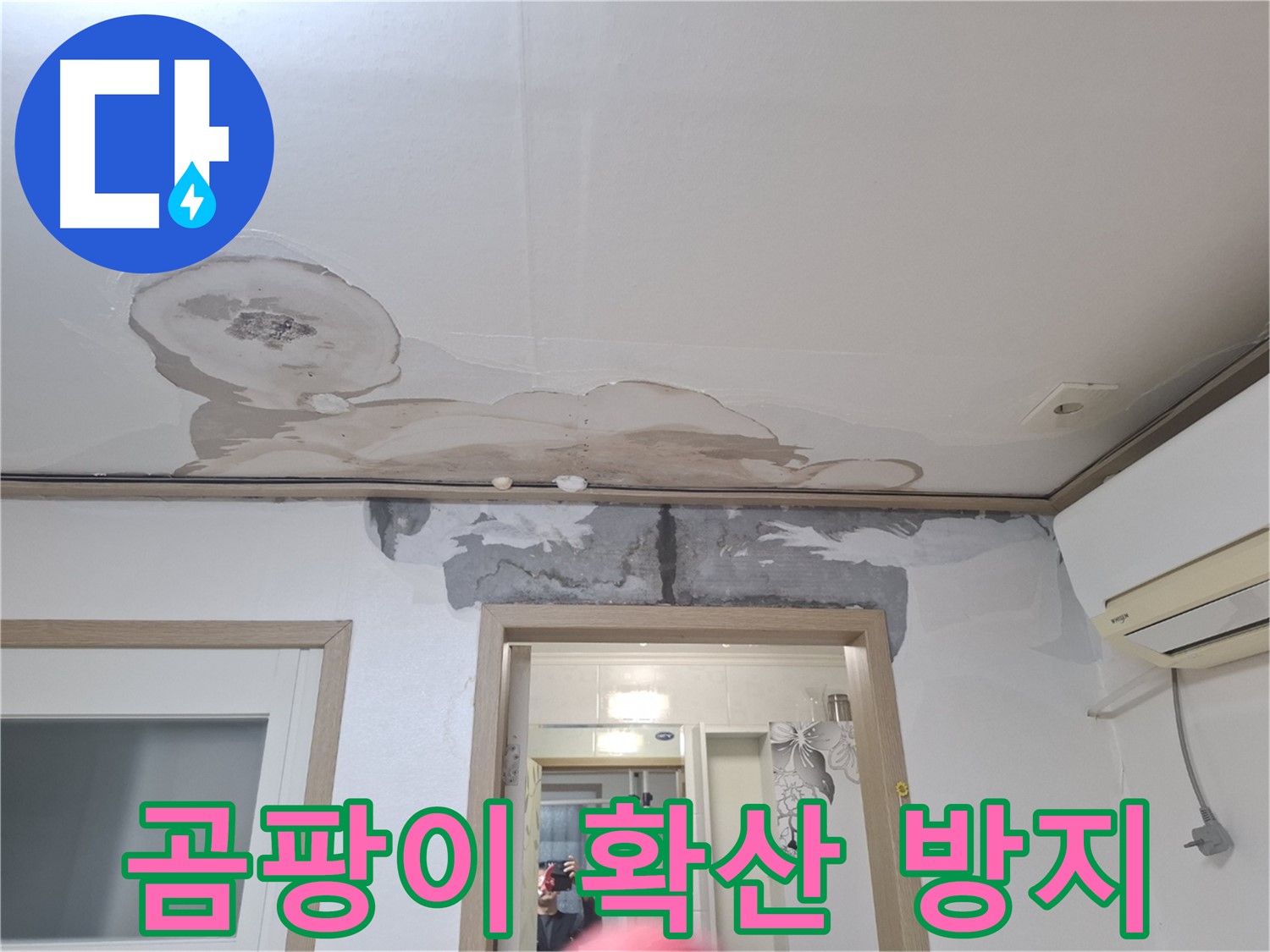 곰팡이 확산 방지 - 곰팡이 포자 확산을 막기 위해 보양 작업을 철저히 하는 모습