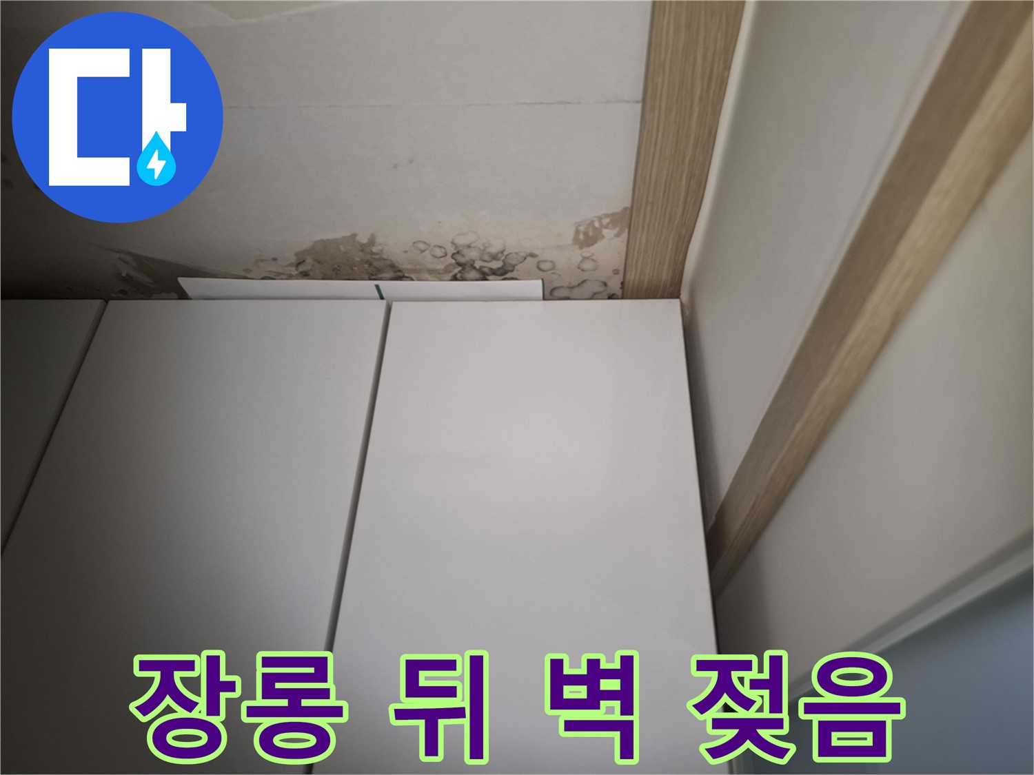 장롱 뒤 벽이 젖어 있는 모습 - 천장 누수를 확인해야 합니다.