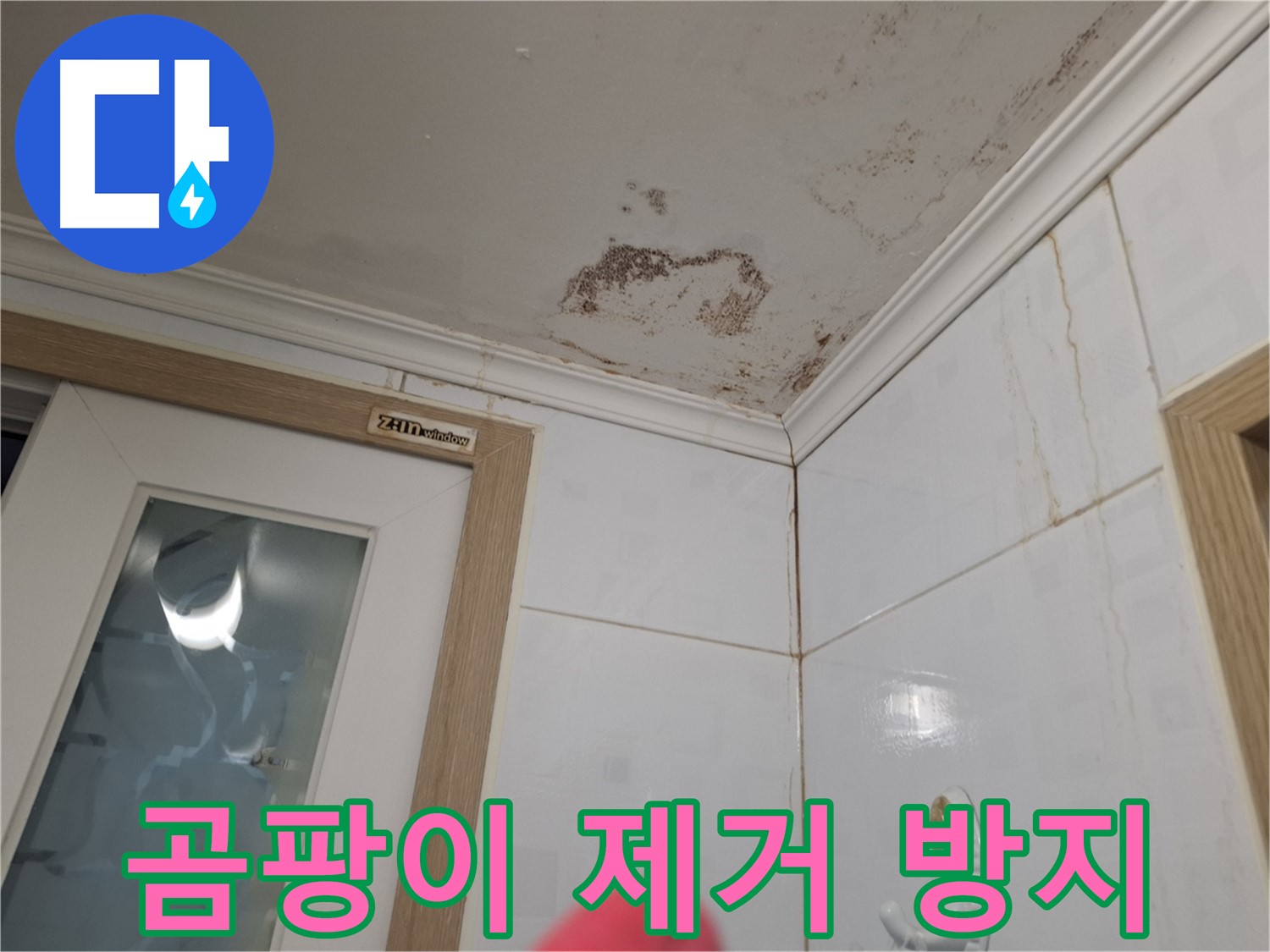 곰팡이 제거 - 재발 방지 - 건강한 욕실
