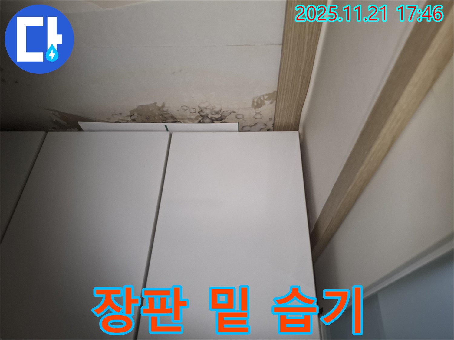신림 장판 밑 습기 - 누수 초기 증상 여부 긴급 진단 필요