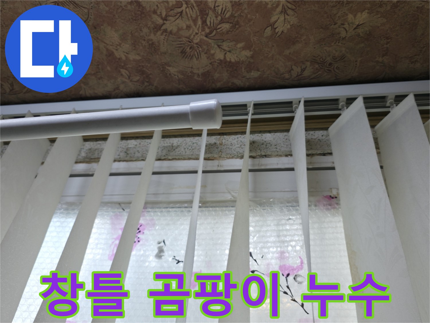 관악구 보라매동 누수 - 창틀 주변 곰팡이 발생, 누수 원인으로 의심되는 부분 집중 점검