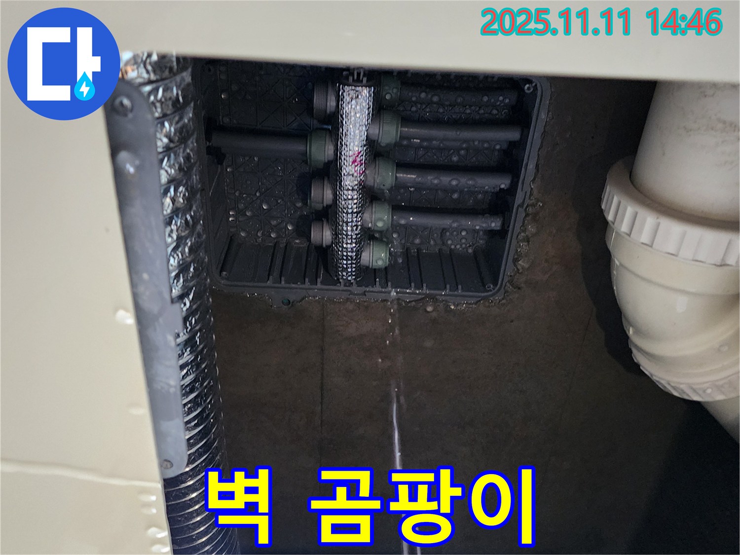 다세대 주택 누수 - 벽에 곰팡이 발생