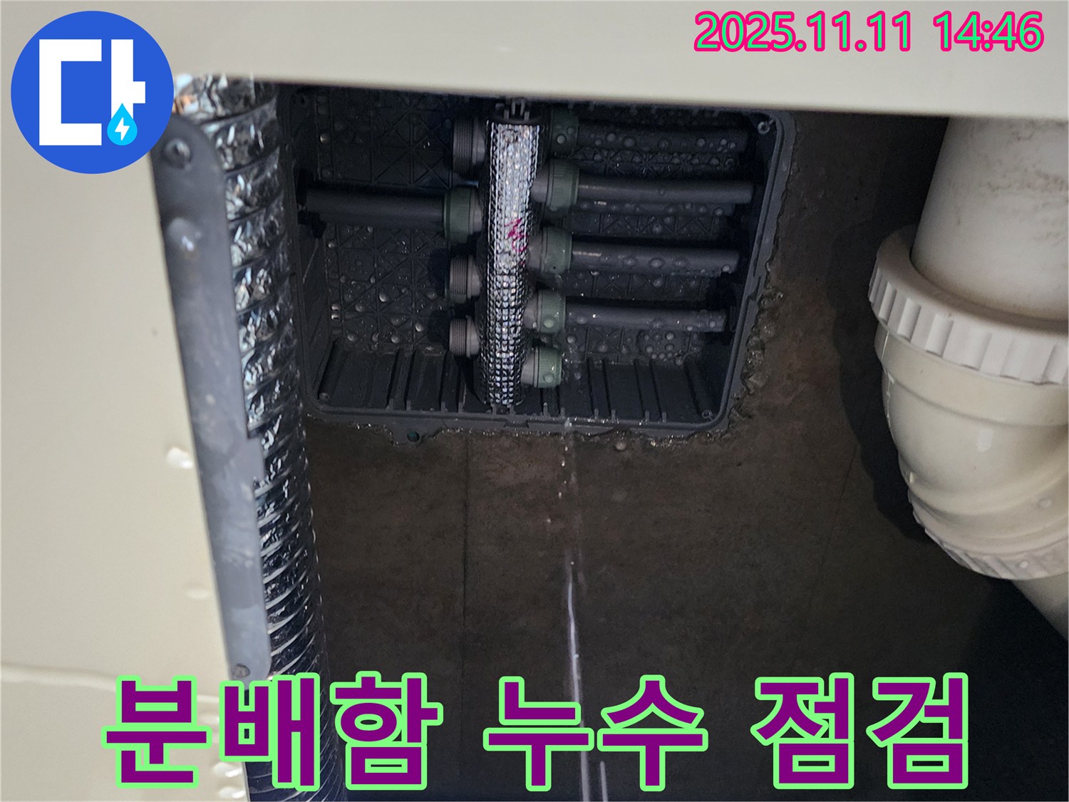 다세대 주택 누수 - 분배함 긴급 점검
