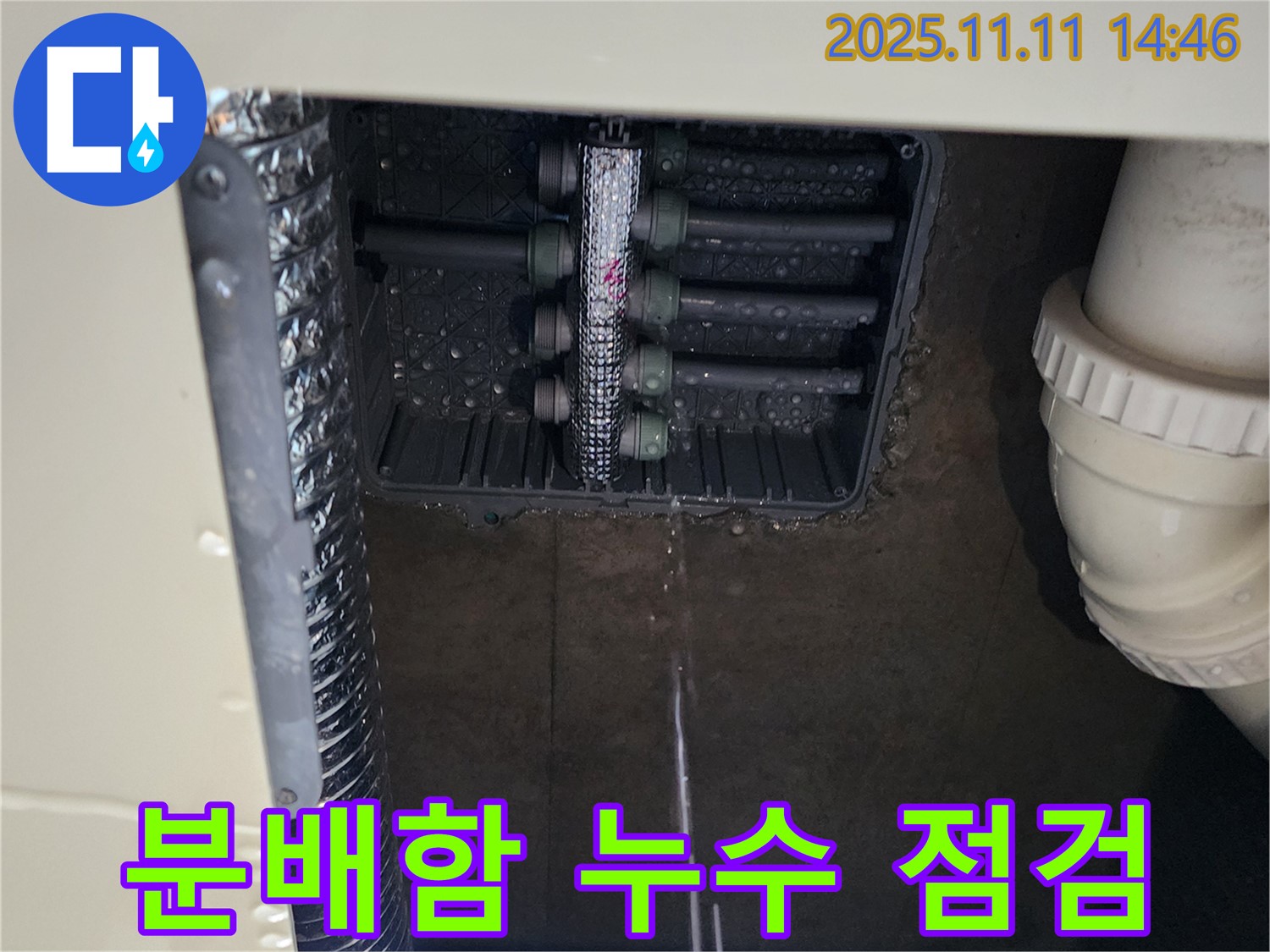 다세대 주택 분배함 누수 - 긴급 점검