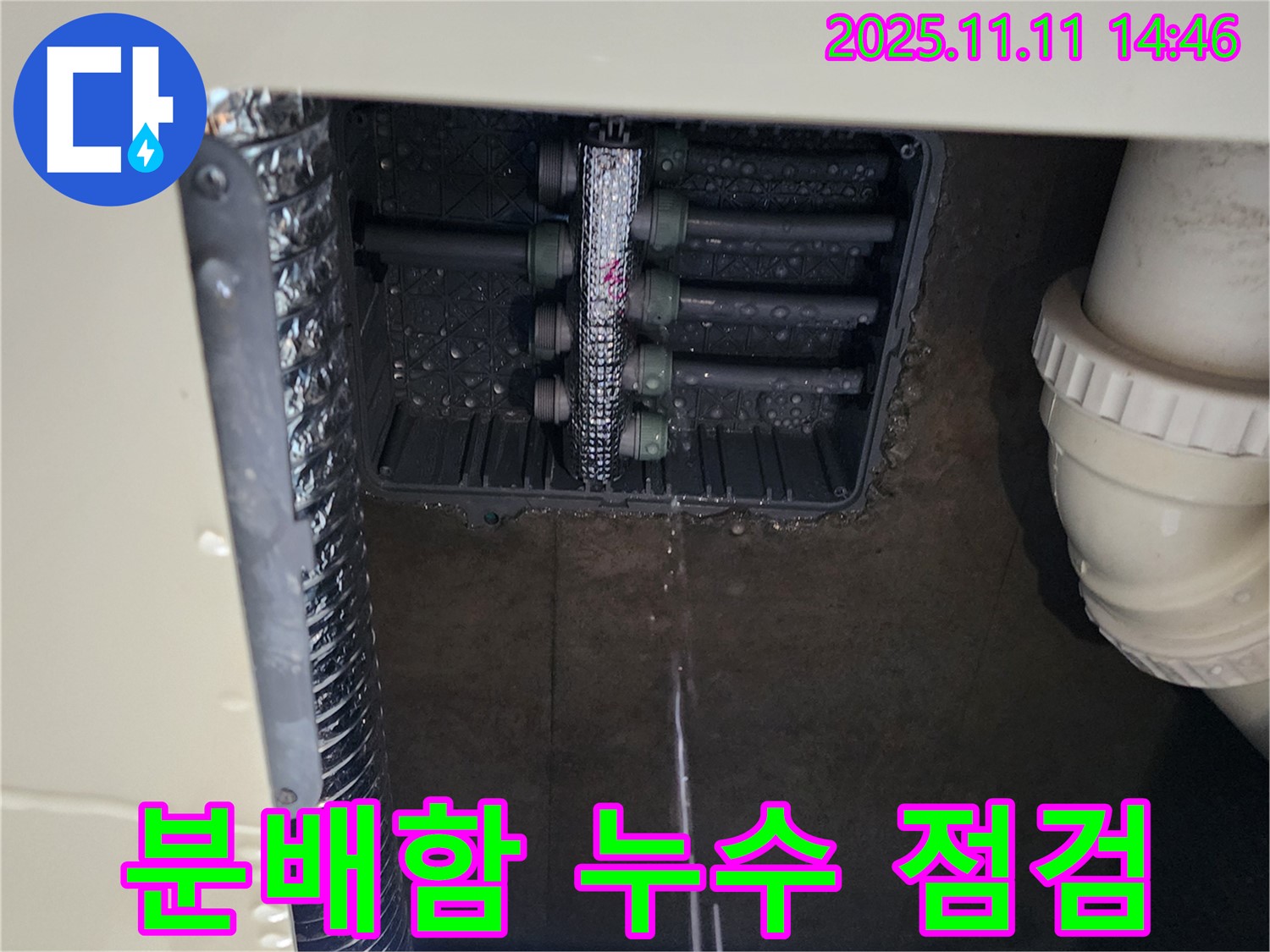 다세대 주택 분배함 누수 - 긴급 점검 중