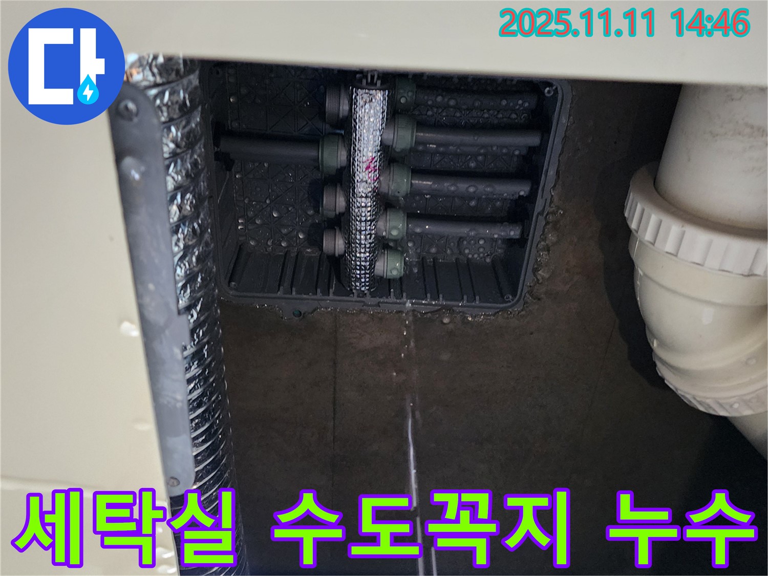 세탁실 수도꼭지 누수 - 물이 뚝뚝