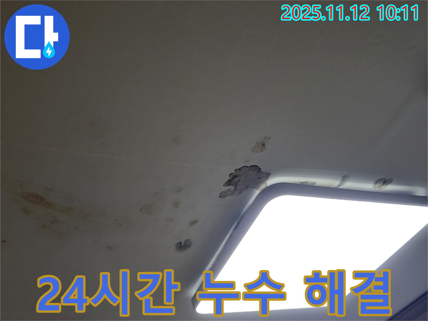 365일 24시간 - 천장 누수 해결
