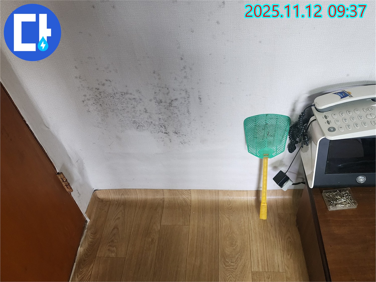벽 곰팡이 - 누수탐지로 곰팡이 문제를 초기에 해결하세요!