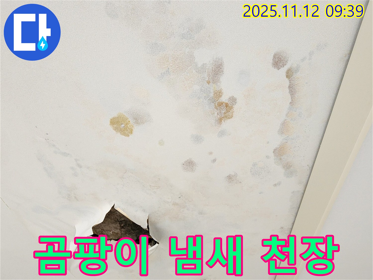 곰팡이 냄새 - 건강 적신호 - 누수 해결 필수