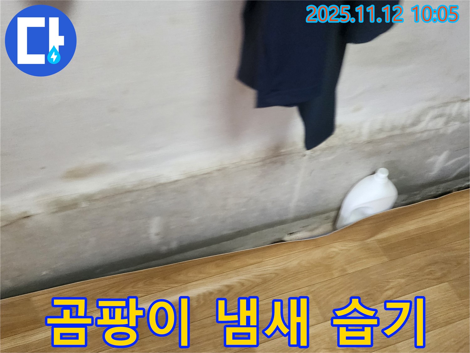 곰팡이 냄새 - 습기 - 누수 초기 의심