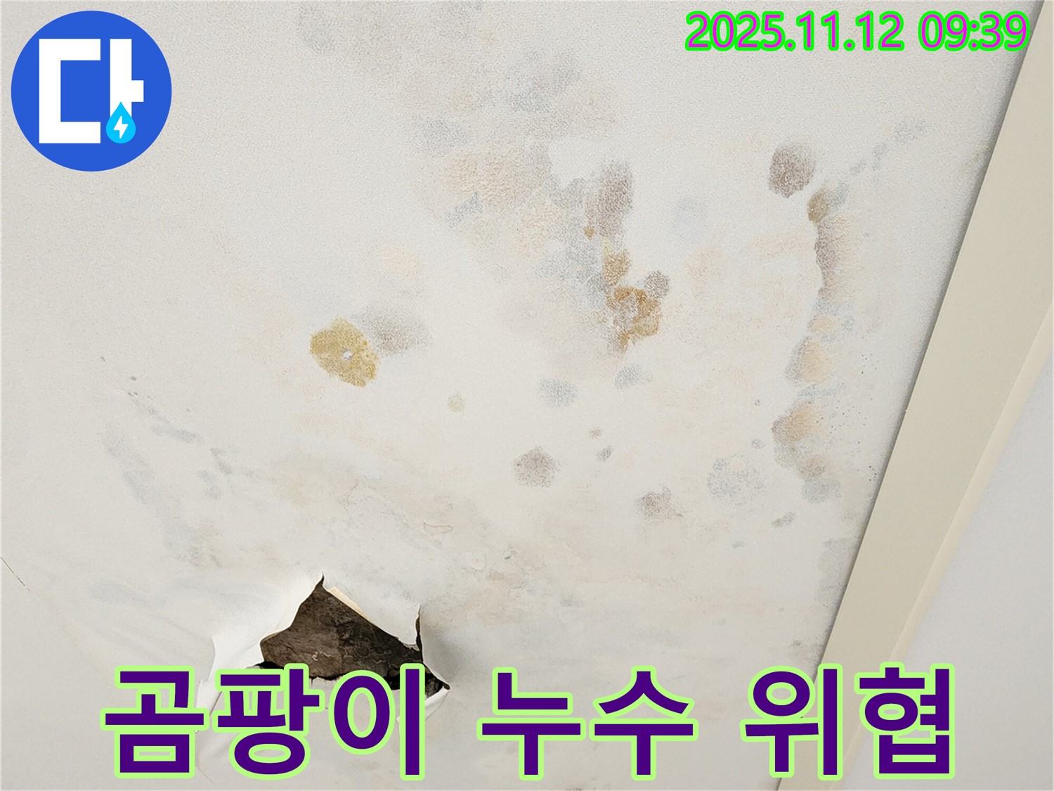 곰팡이 - 누수 - 건강 위협 이중고