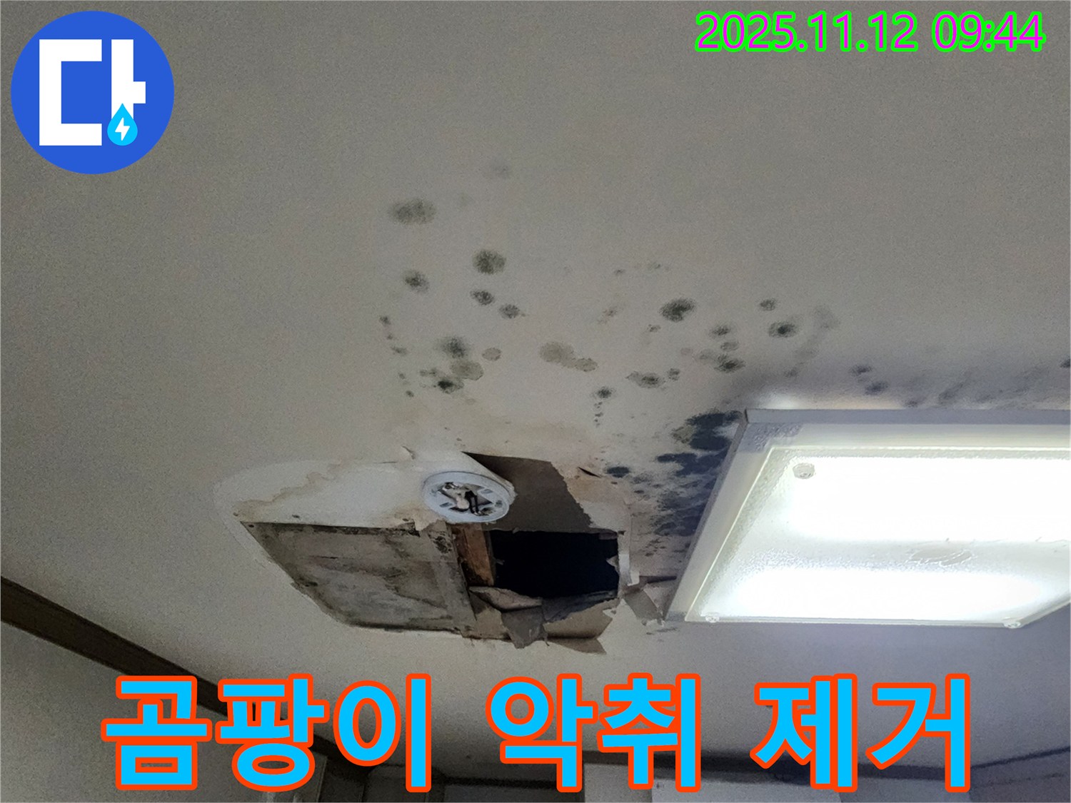 곰팡이 제거 - 악취 제거 - 쾌적 환경 - 건강 개선