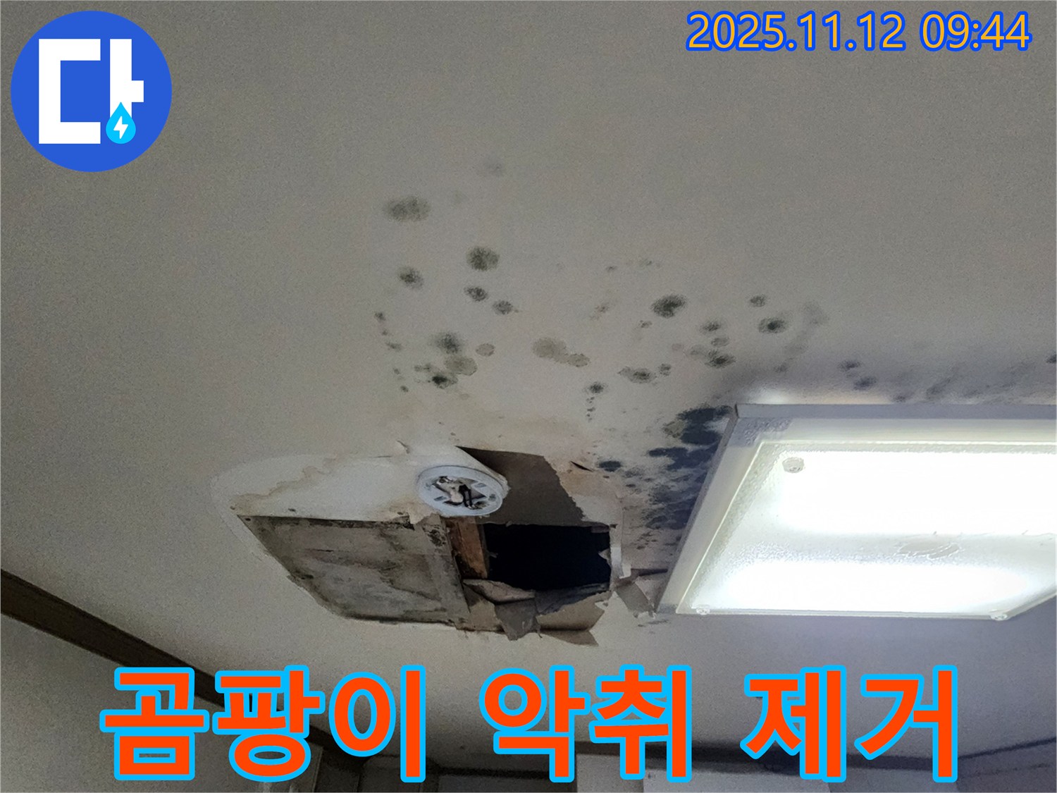 곰팡이 제거 - 악취 제거 - 쾌적 환경 - 건강 개선 효과