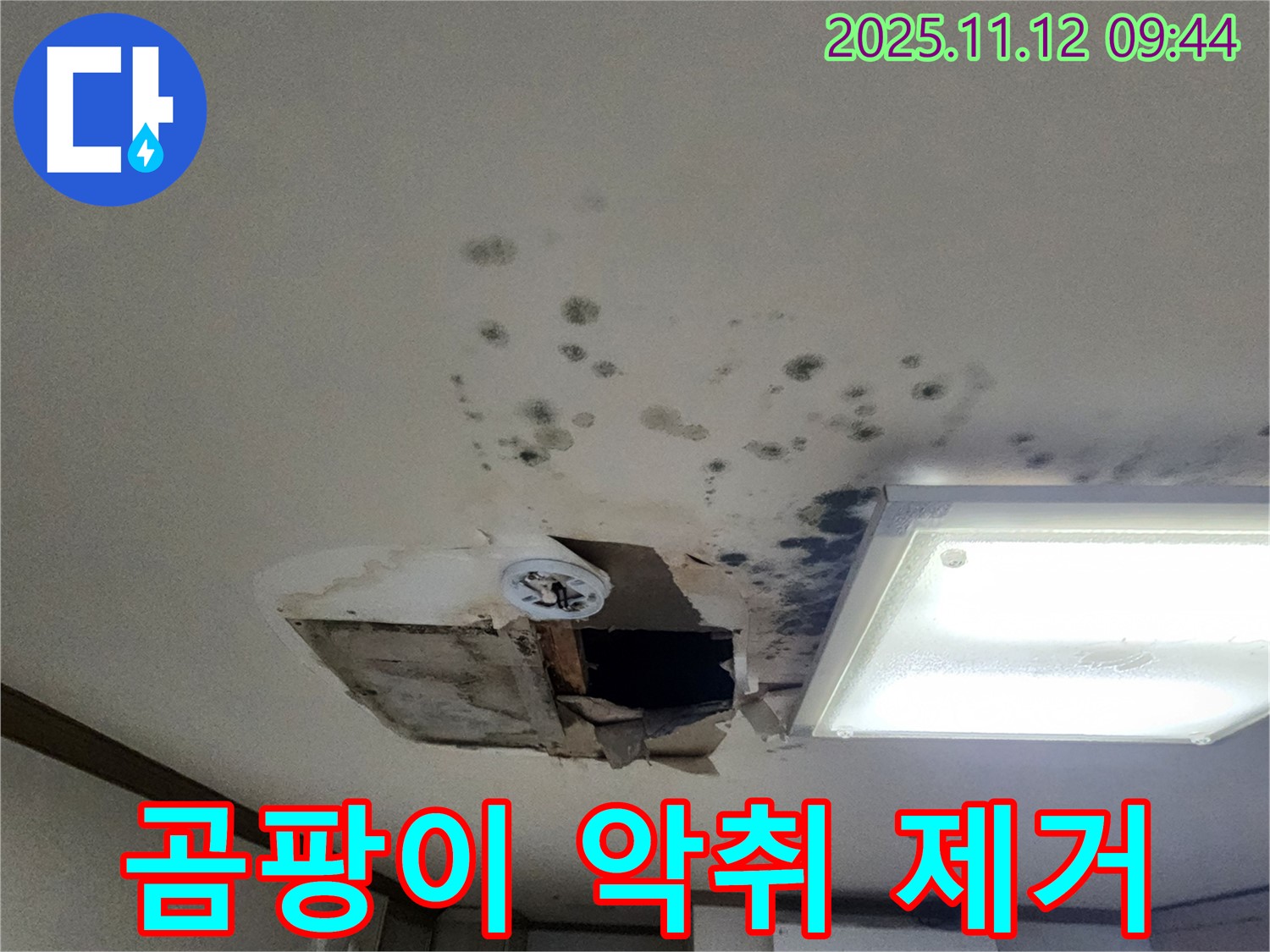 곰팡이 제거 - 악취 제거 - 쾌적 환경 - 실내 소독