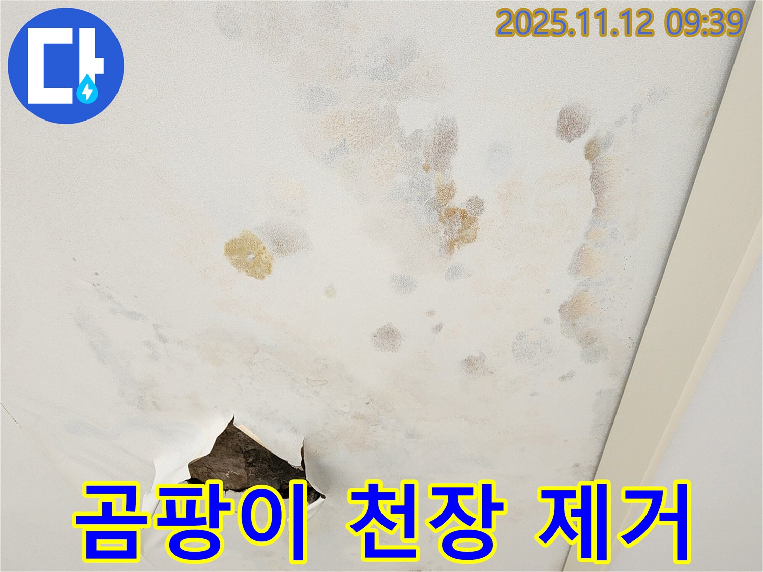 곰팡이 천장 - 건강 위협 - 빠른 제거 필수