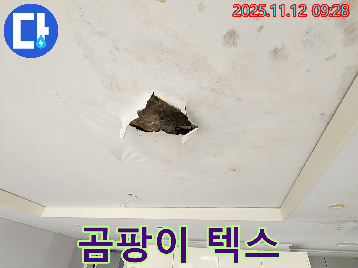 곰팡이 텍스 - 곰팡이가 심하게 핀 천장 텍스의 클로즈업 사진입니다.