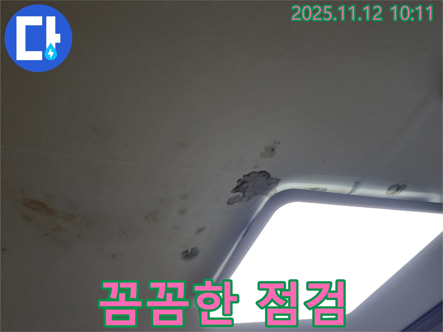 꼼꼼한 점검 - 확실한 진단