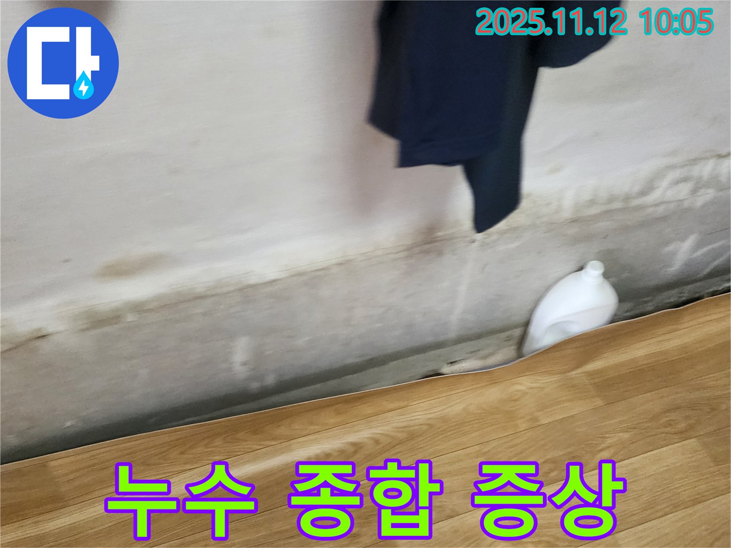 누수 종합 증상 - 젖은 벽 - 곰팡이 - 들뜬 장판