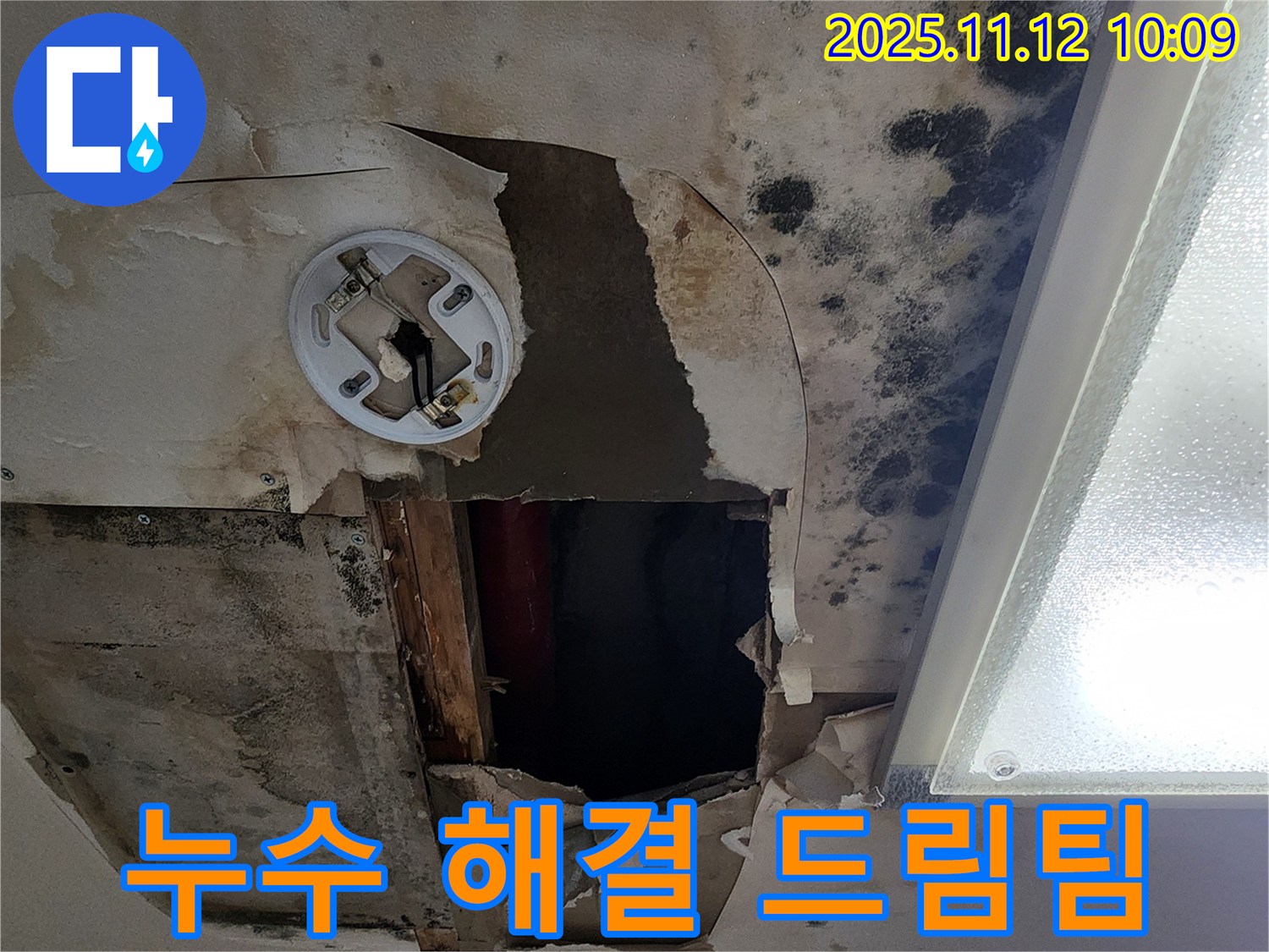 누수 해결 드림팀 - 곰팡이 천장 누수 완벽 격파