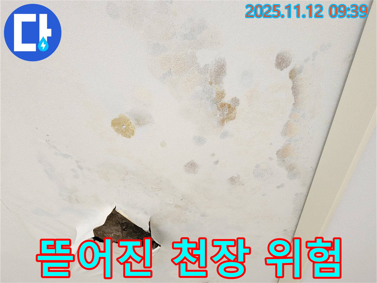 뜯어진 천장 - 안전 문제 - 긴급 점검 필요