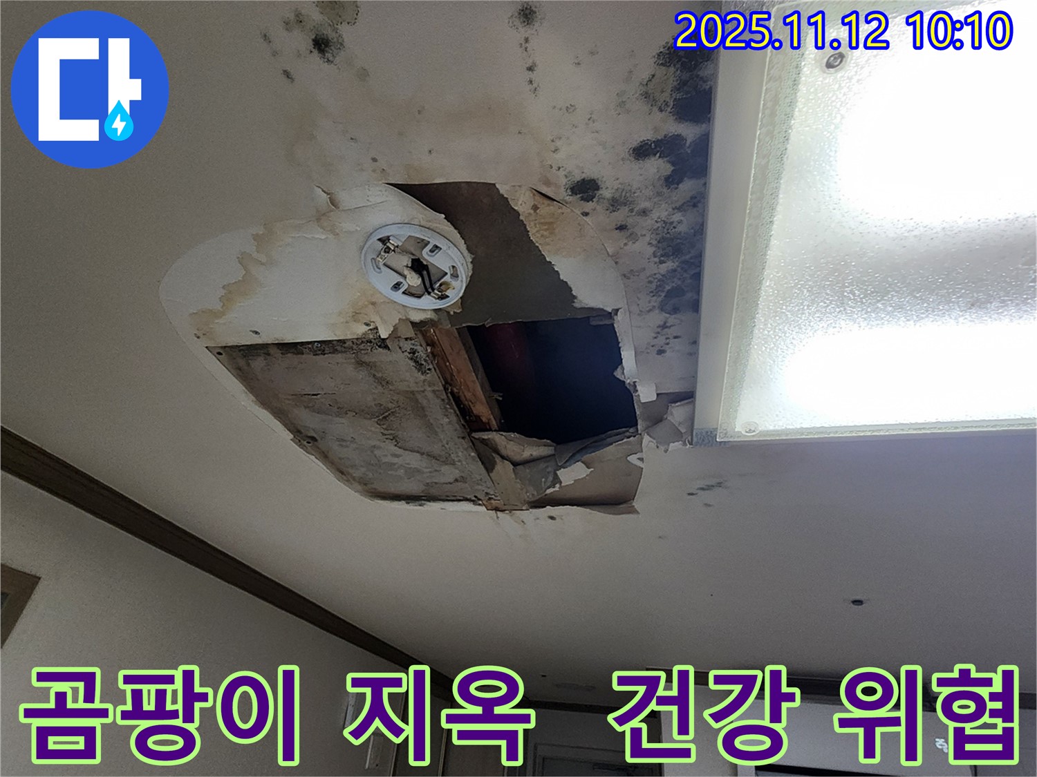 무봉리 주택 천장 - 곰팡이 지옥, 건강 적신호!