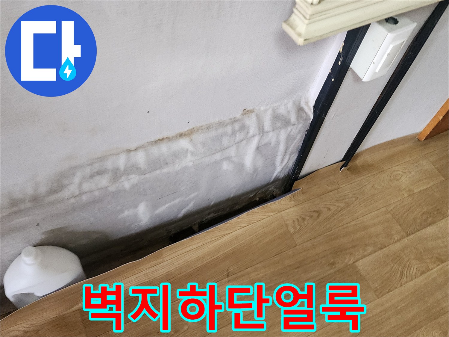 물에 젖어 변색된 벽지 하단과 습기 흔적