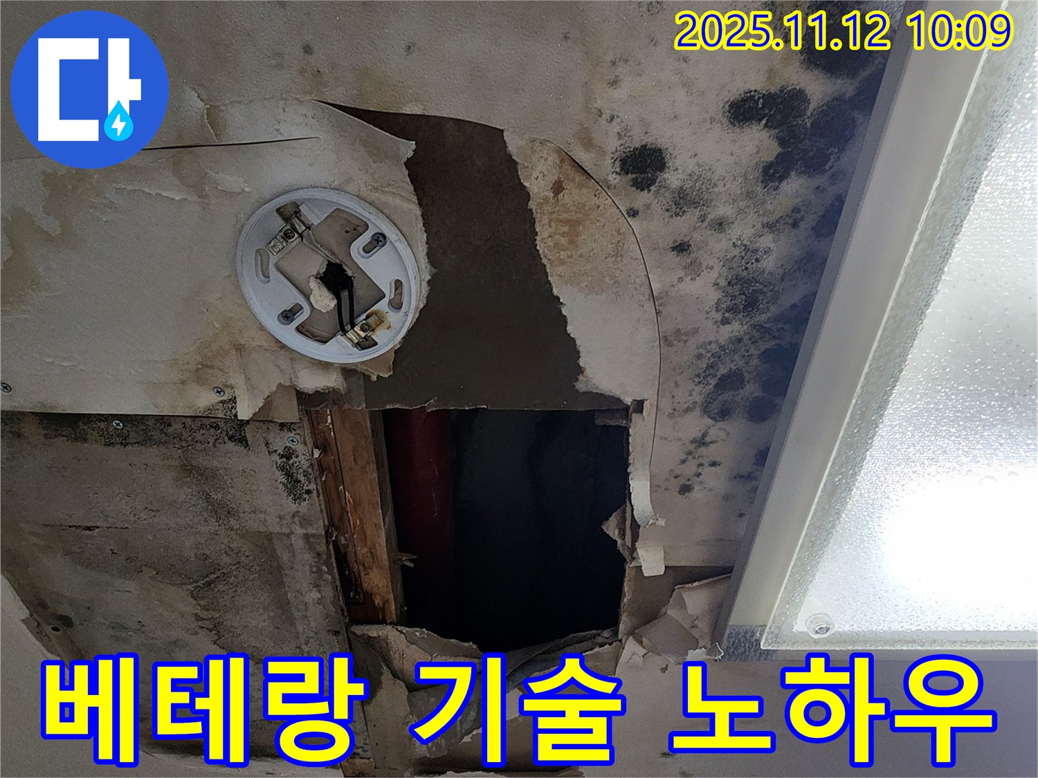 베테랑 기술 노하우 - 곰팡이 천장 누수 완벽 해결