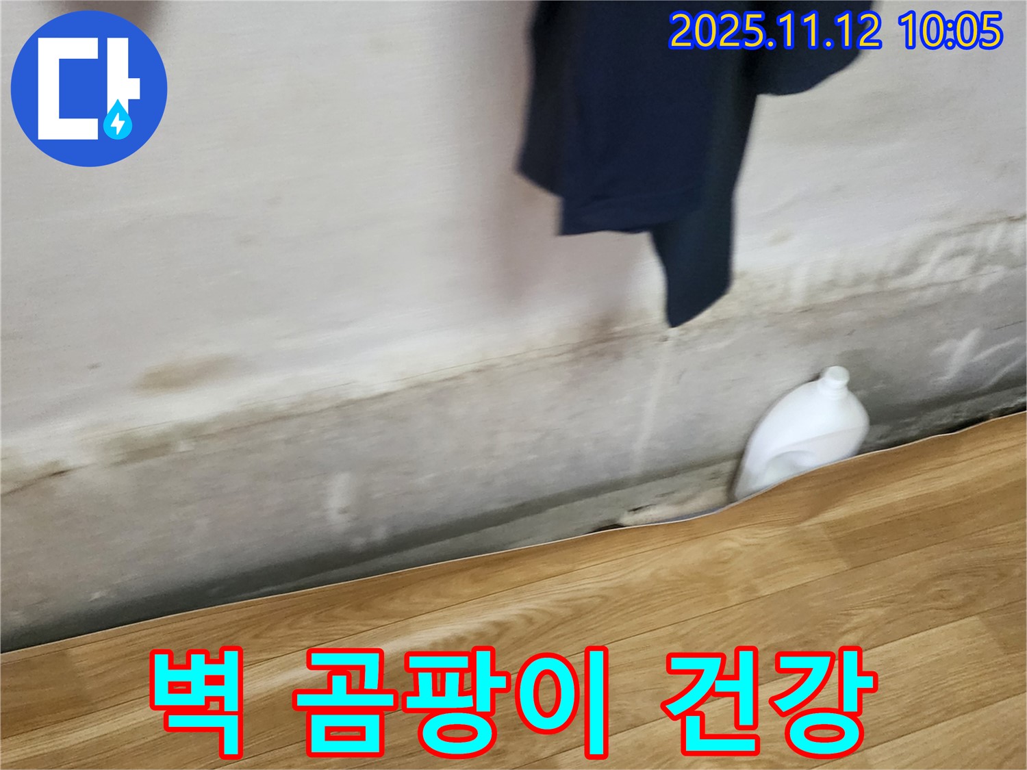 벽 곰팡이 - 건강 위협 - 꼼꼼 해결