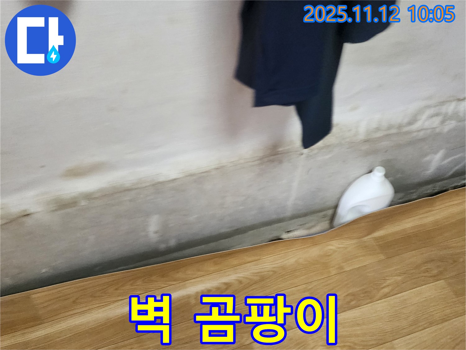 벽 곰팡이 - 누수 의심 - 곰팡이 제거