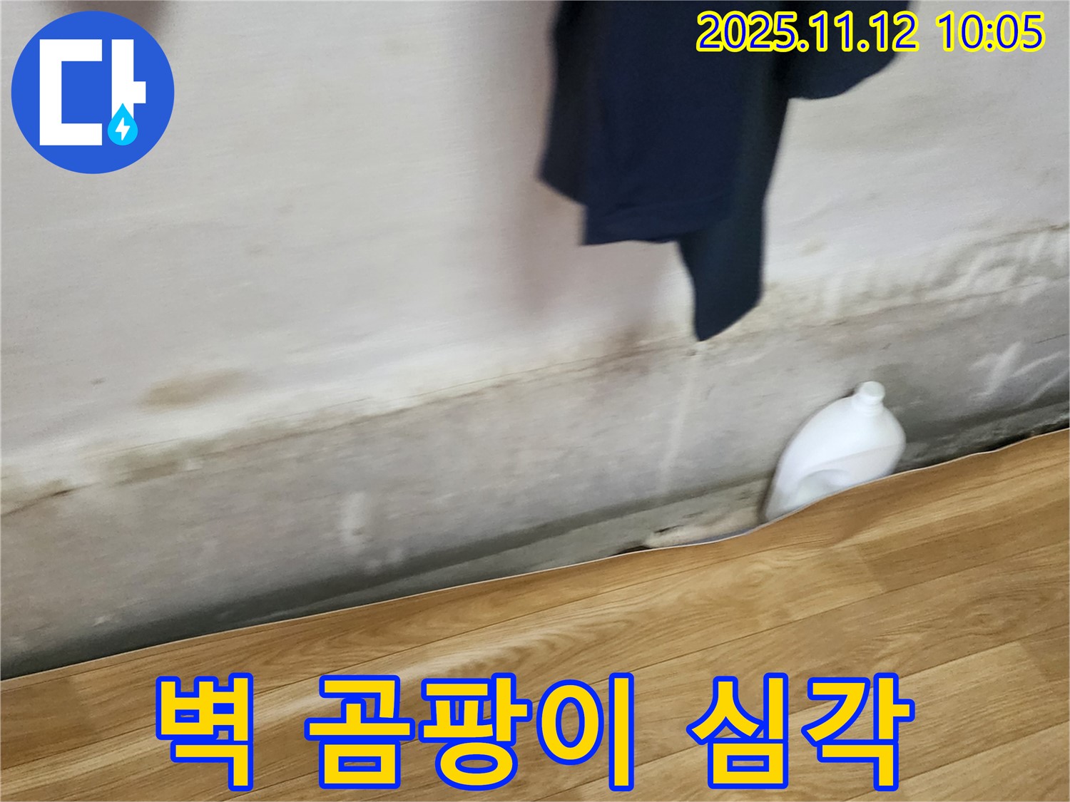 벽 곰팡이 심각 - 건강 위협 - 즉시 제거