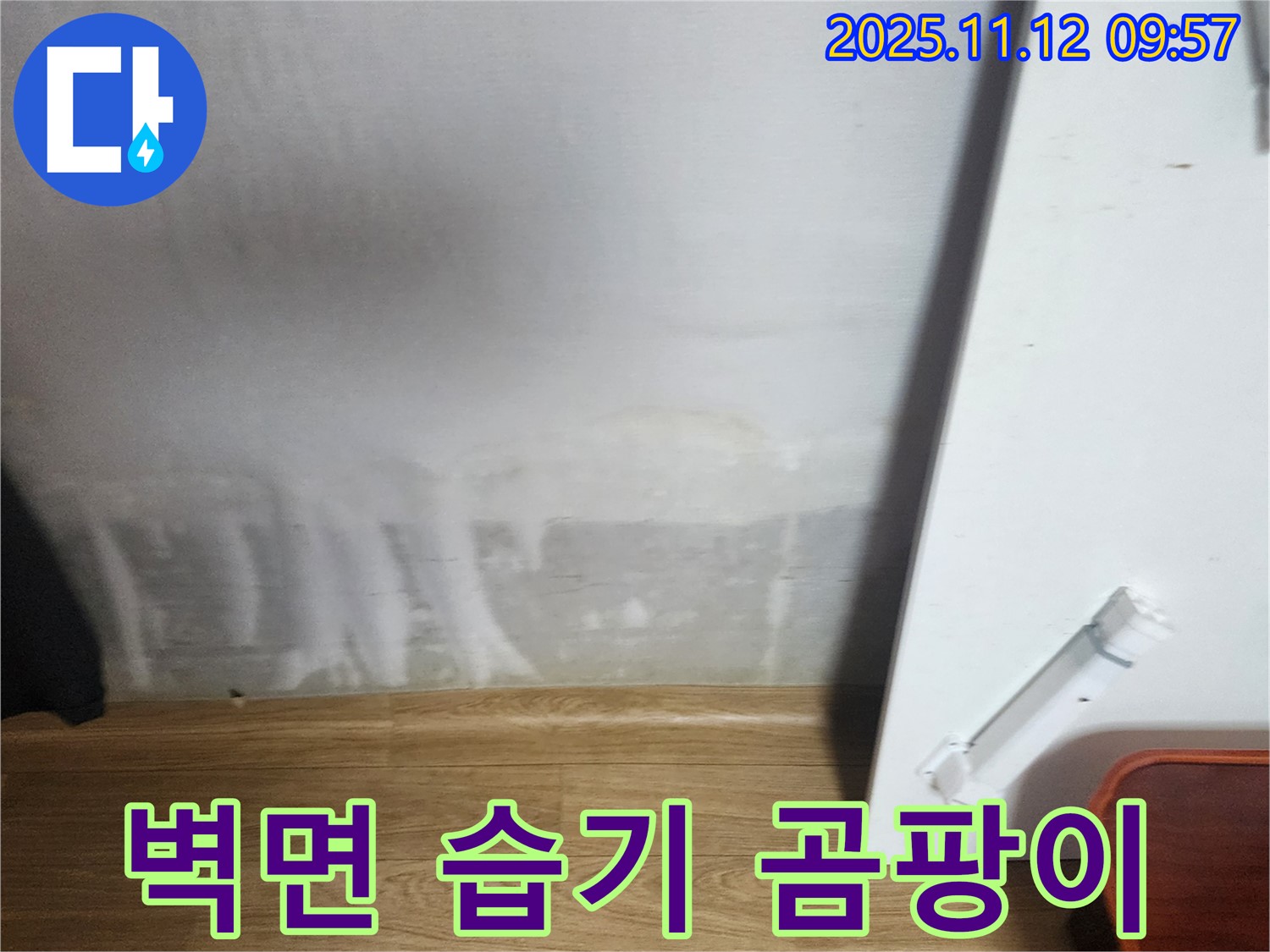 벽면 습기 - 곰팡이 냄새 - 건강 위협