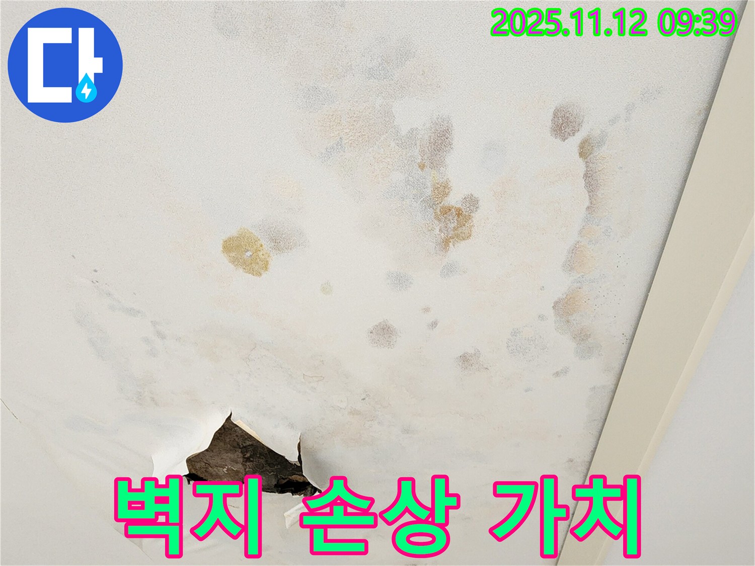 벽지 손상 - 미관 저해 - 건물 가치 하락