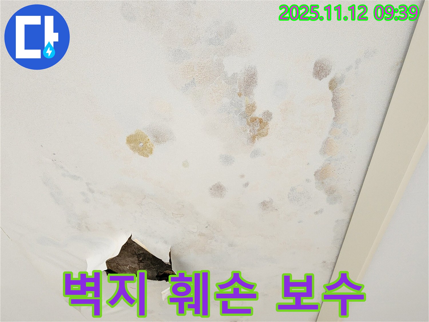 벽지 훼손 - 부분 보수 - 전체 교체