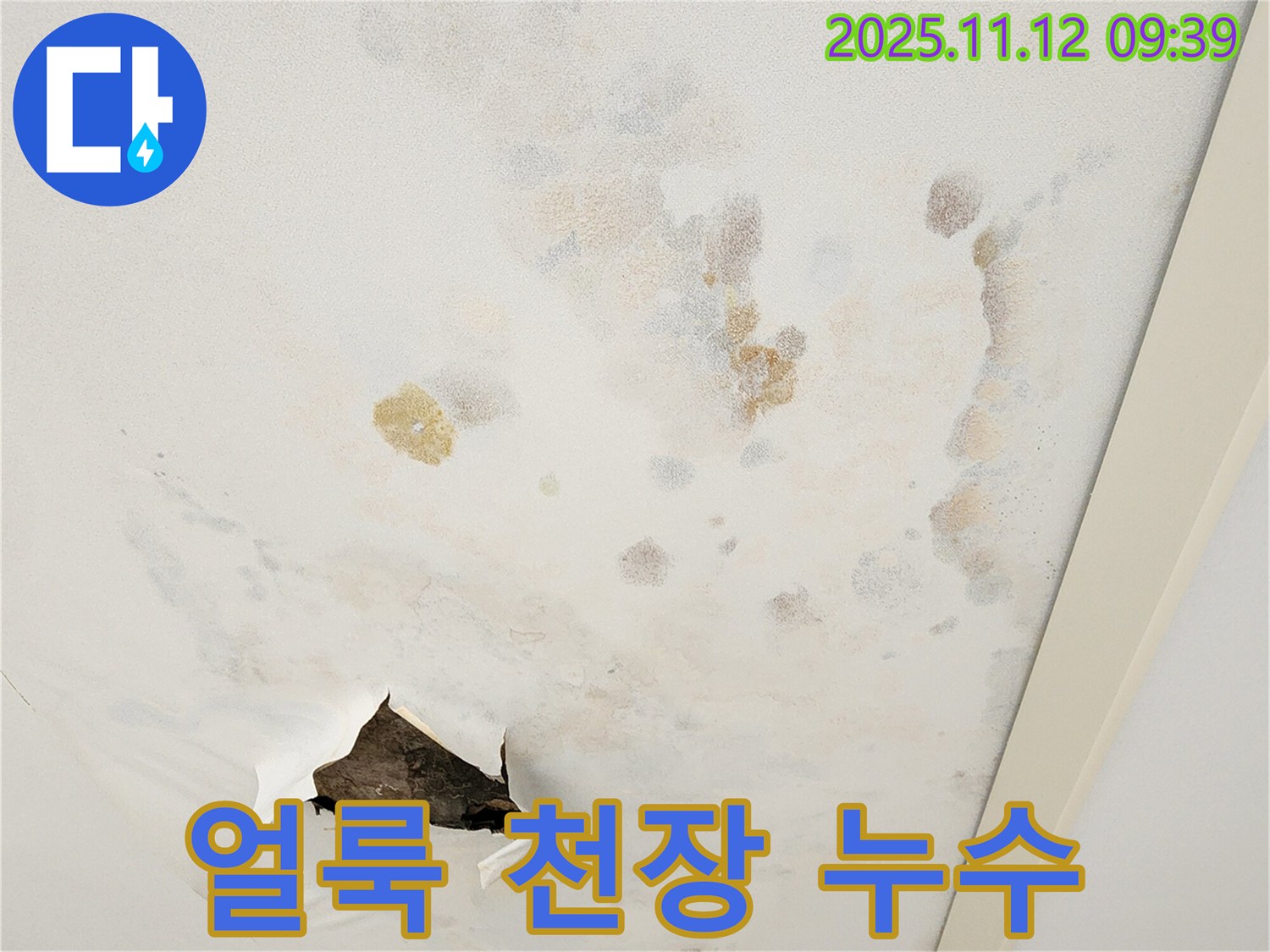얼룩덜룩한 천장 - 누수 흔적 - 정밀 진단